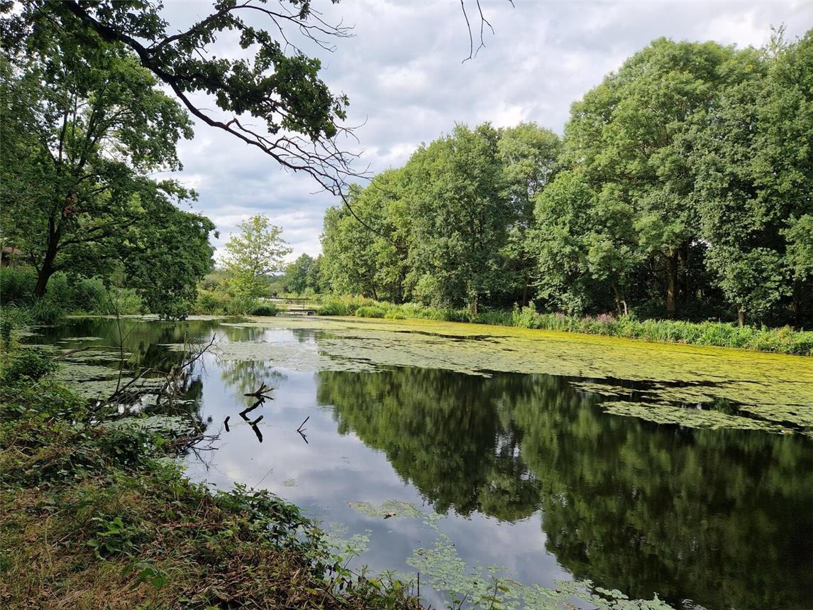 Die für 2025 letzte ADFC-„Feierabend“-Radtour ab Trinkwasserbrunnen startet am Mittwoch, 13. August. Foto: privat