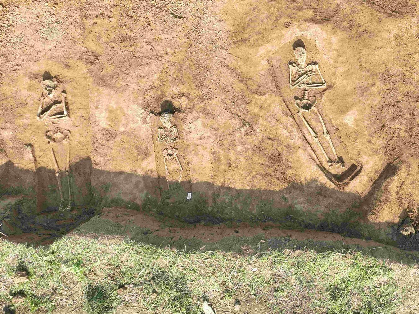 Rees: Archäologische Funde am Rhein Die Fundstelle der Skelette bei Rees-Haffen. Foto: privat
