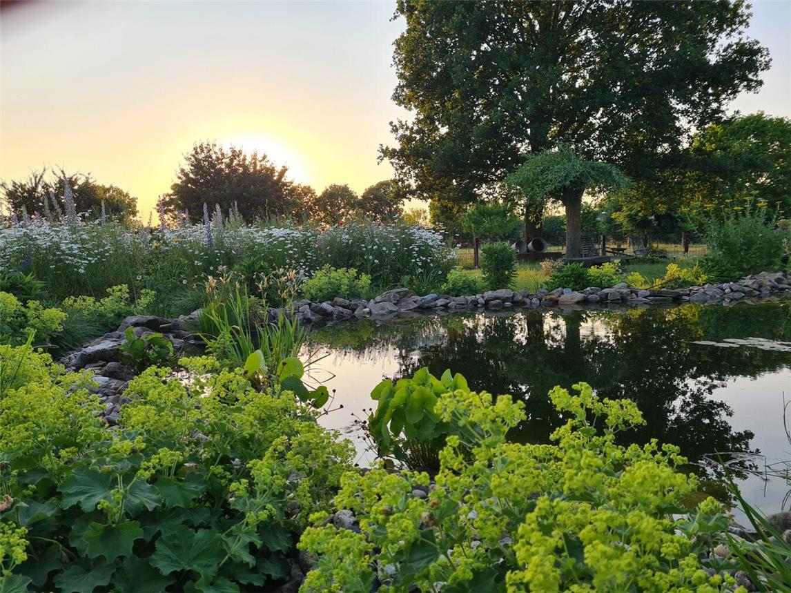 Die Gärten Hortulus (Foto o.) und Hakenbeck (Foto u.) laden zum Entdecken und Verweilen ein. Foto: privat