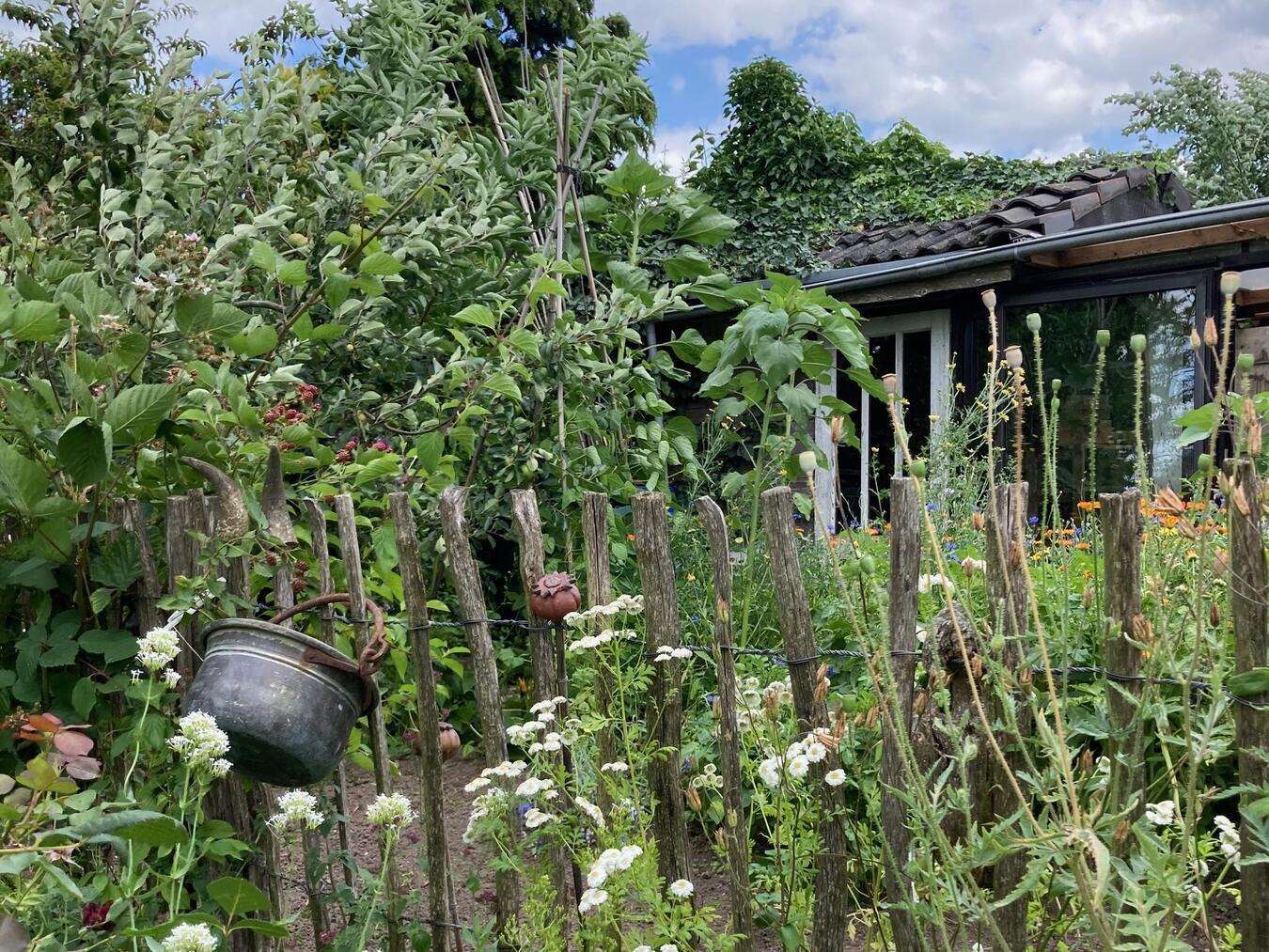 Die Gärten sind von 11 bis 17 Uhr geöffnet, der Eintritt für alle Gärten beträgt vier Euro pro Person. Foto: WTM