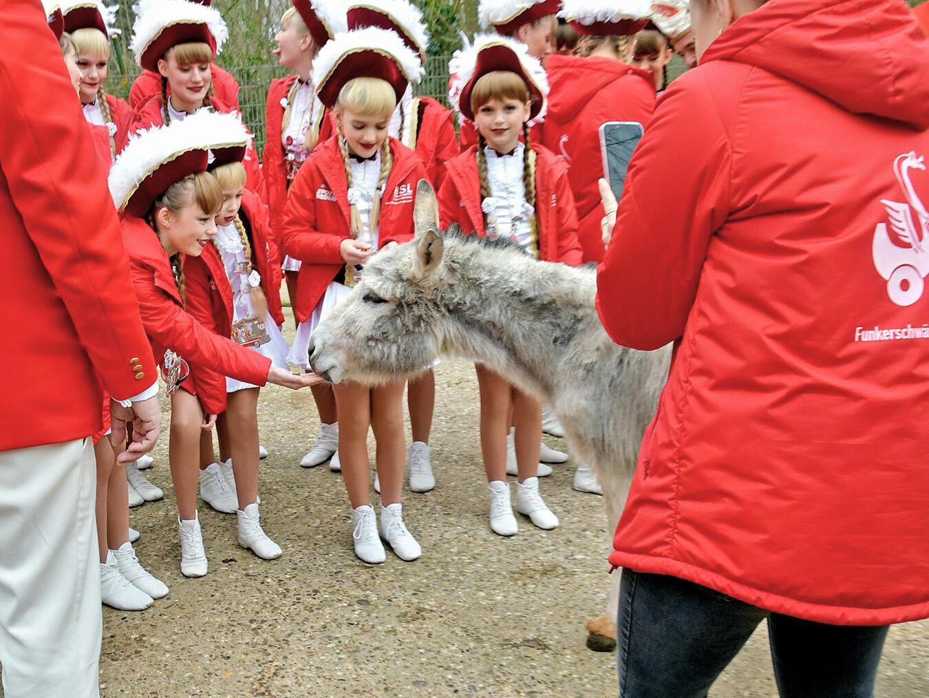 Die Gardemädchen sind ganz begeistert von den flauschigen Eseln im Klever Tiergarten. NN-Foto: Rüdiger Dehnen