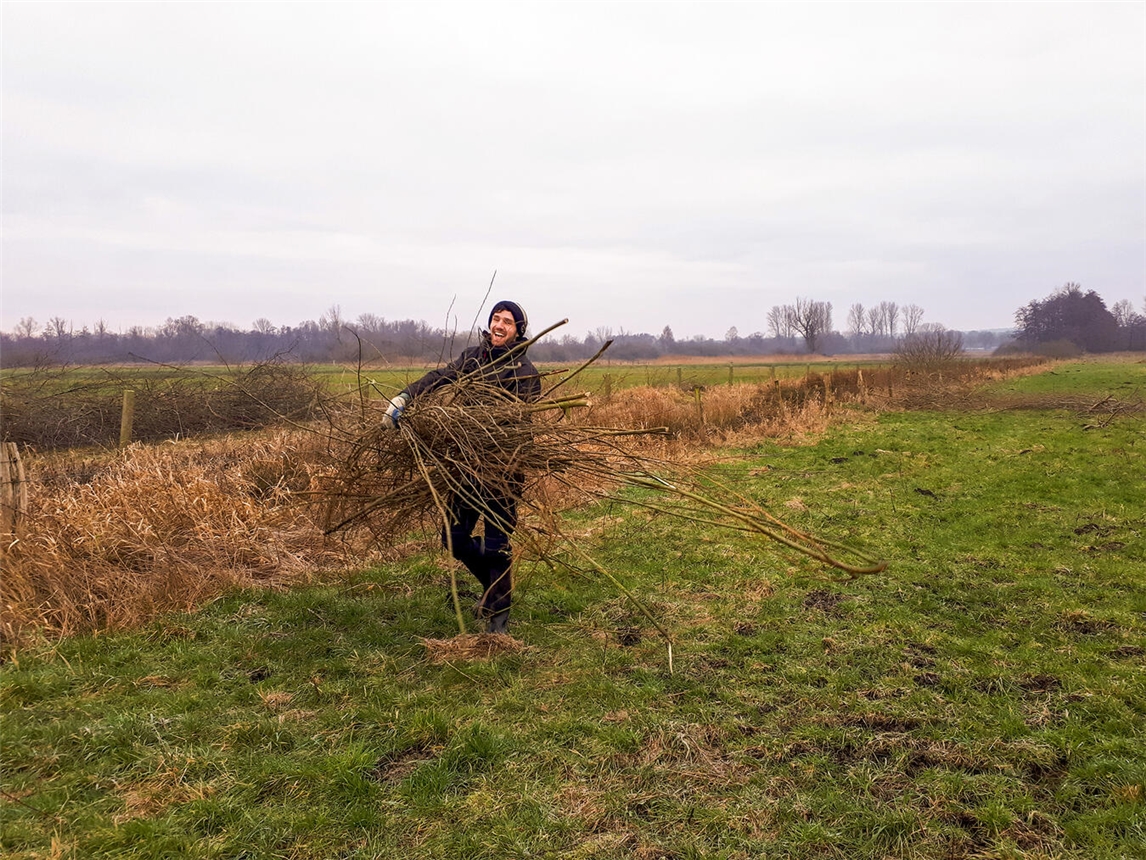 Die Hauptarbeit wird darin bestehen, die abgeschnittenen Äste von der Fläche herunterzutragen und zu stapeln. Foto: Nabu Naturschutzstation