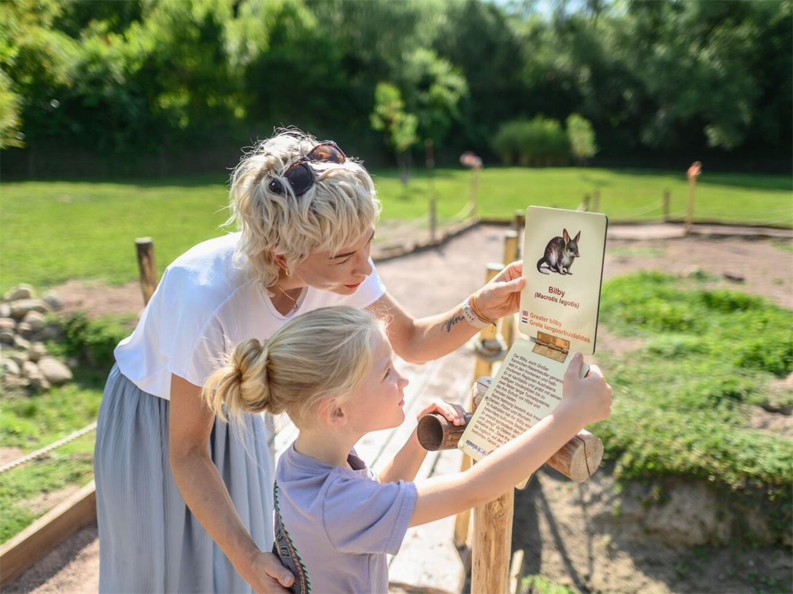 "Familien genießen Herbstferien im Tiergarten Kleve, umgeben von buntem Laub und Tieren."