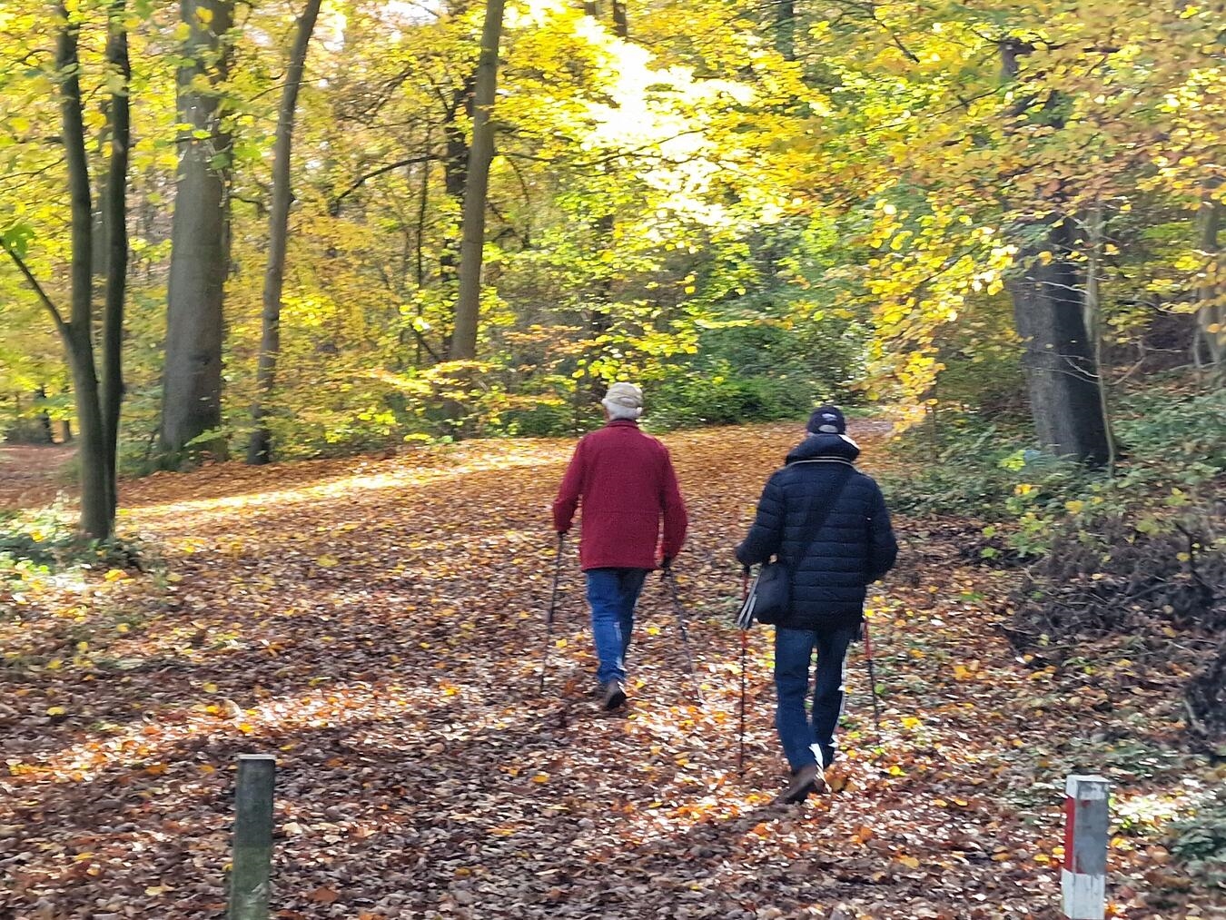 Die herbstliche Tour bietet Naturfreunden die perfekte Gelegenheit, aktive Bewegung mit geselligem Beisammensein zu verbinden.Foto: privat