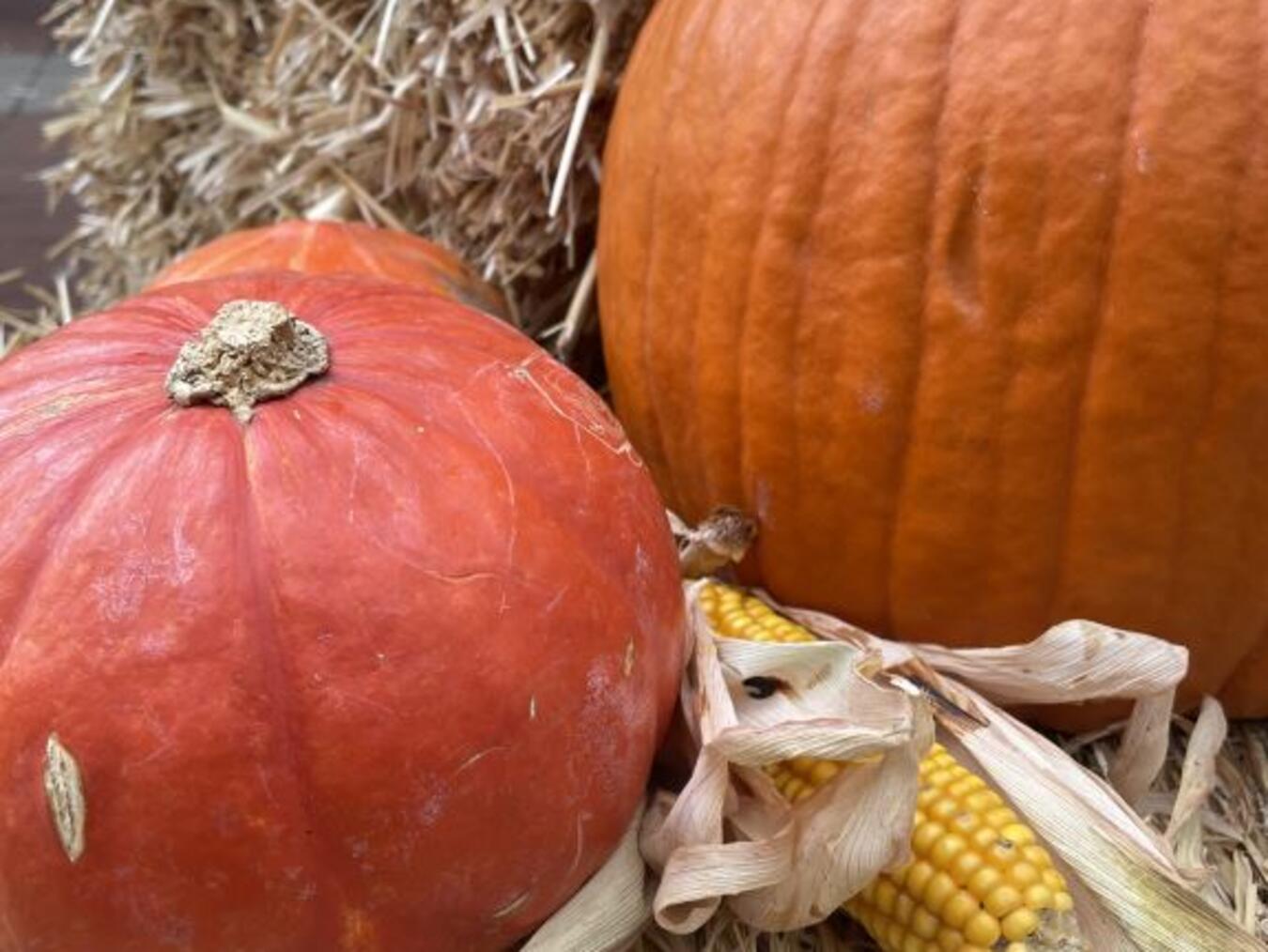 Die „Herbstzeit“ findet am Sonntag, 6. Oktober, in Kevelaer statt. Foto: privat