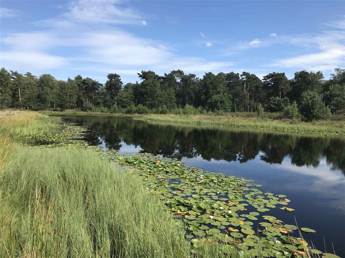 Die idyllische Moorlandschaft der Ravenvennen. Foto: privat