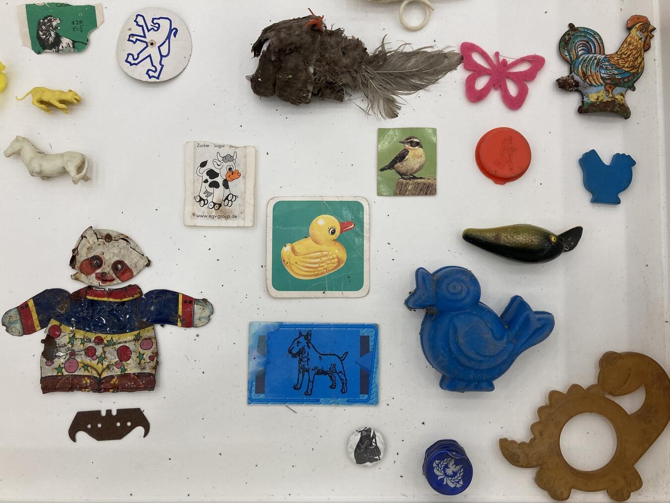 Die Kinder dürfen auch ihre eigenen Fundstücke mitbringen. Foto: Museum