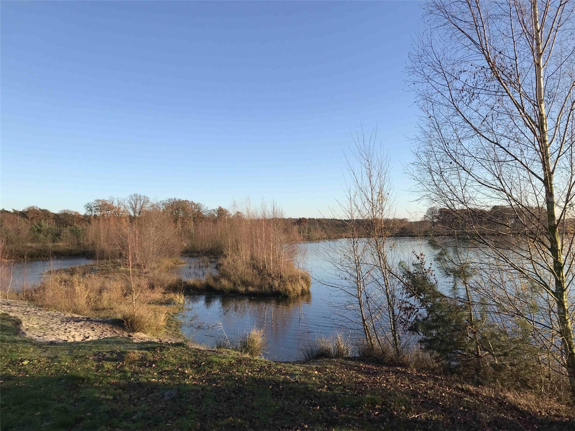 "Panorama der Maasduinen bei Arcen, Sanddünen und Heidelandschaft, Naturpark, Sommerlandschaft"