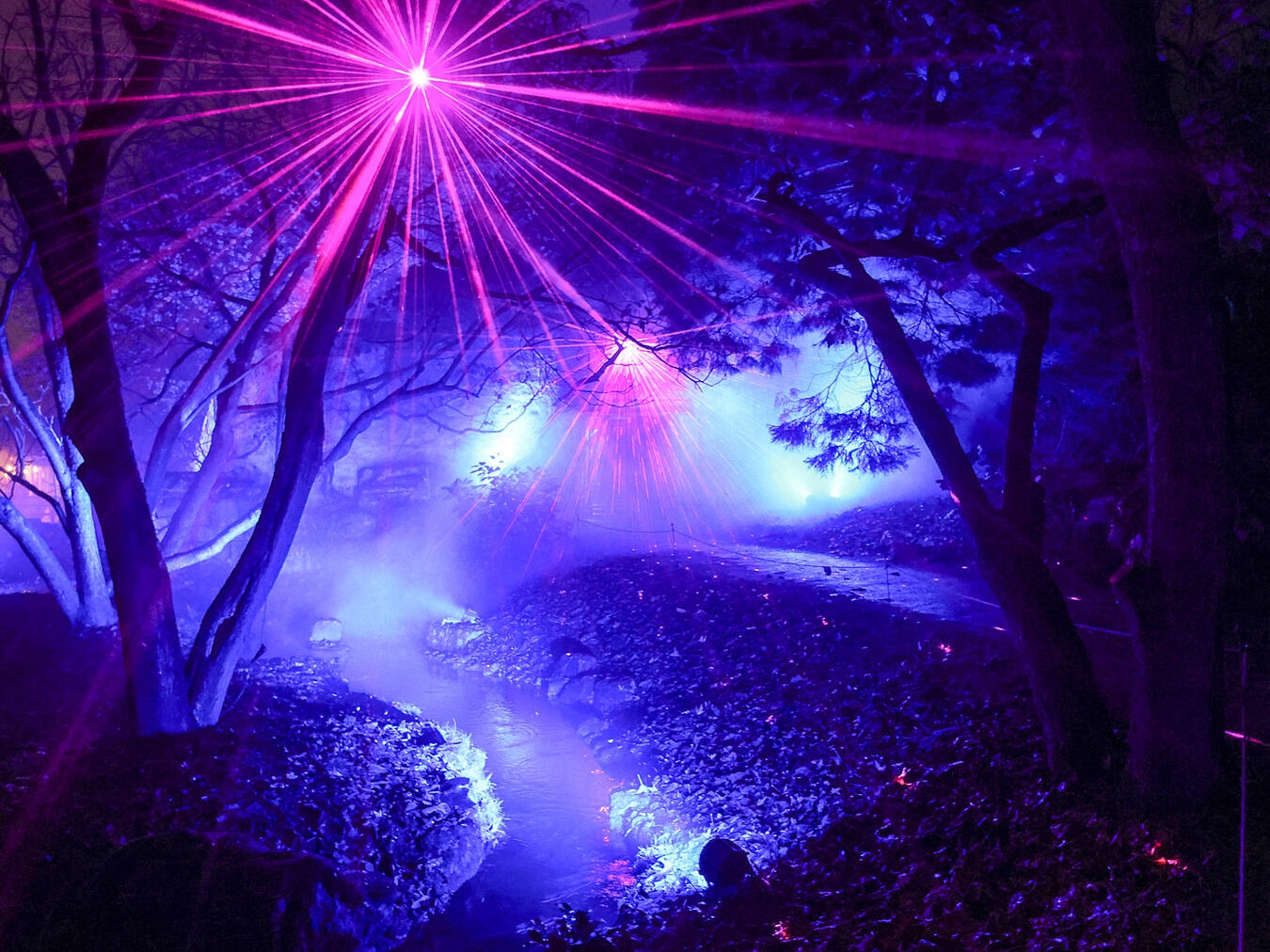 Ausflugsziel für alle Sinne Die Magie des Lichtkunstfestival „Enchanted Gardens“ verwandeln die Schlossgärten zu einer märchenhaften Welt aus Natur, Licht und Musik. Foto: Schlossgärten Arcen/Enchanted Gardens