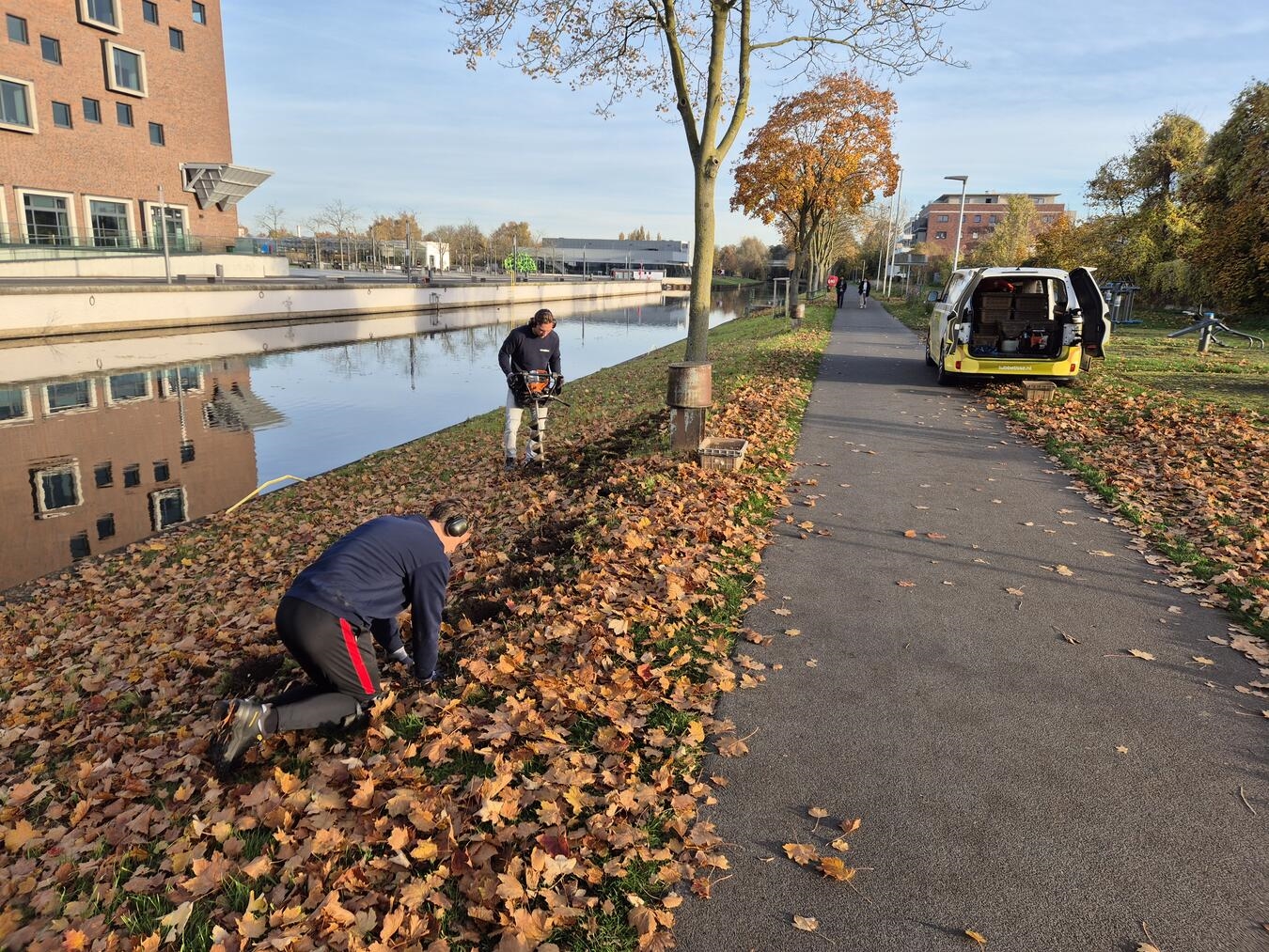 Die Maßnahme wurde im Rahmen des Leitpapiers „Insektenfreundlichen Kleve“ umgesetzt. Foto: Stadt Kleve