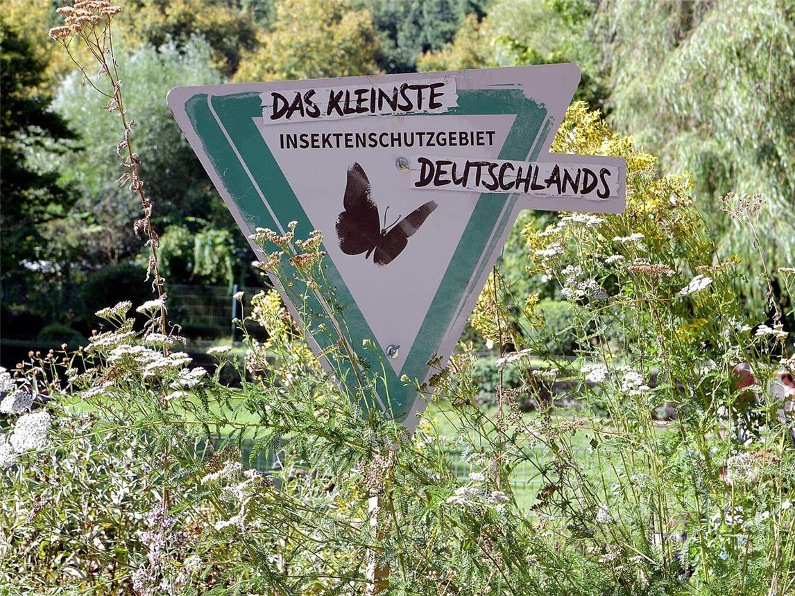Die neue Artenschutzecke bietet viele Anregungen für den eigenen Garten. NN-Foto: Rüdiger Dehnen