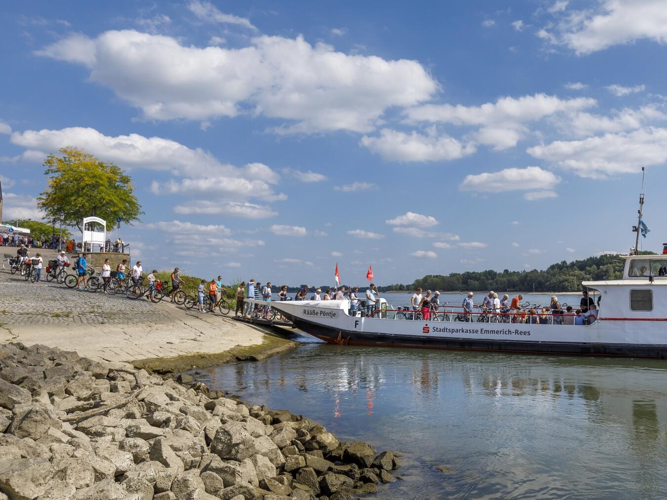 Die Reeser Fahrradfreundlichkeit wird abgefragt. Foto: Stadt Rees/Buckstegen