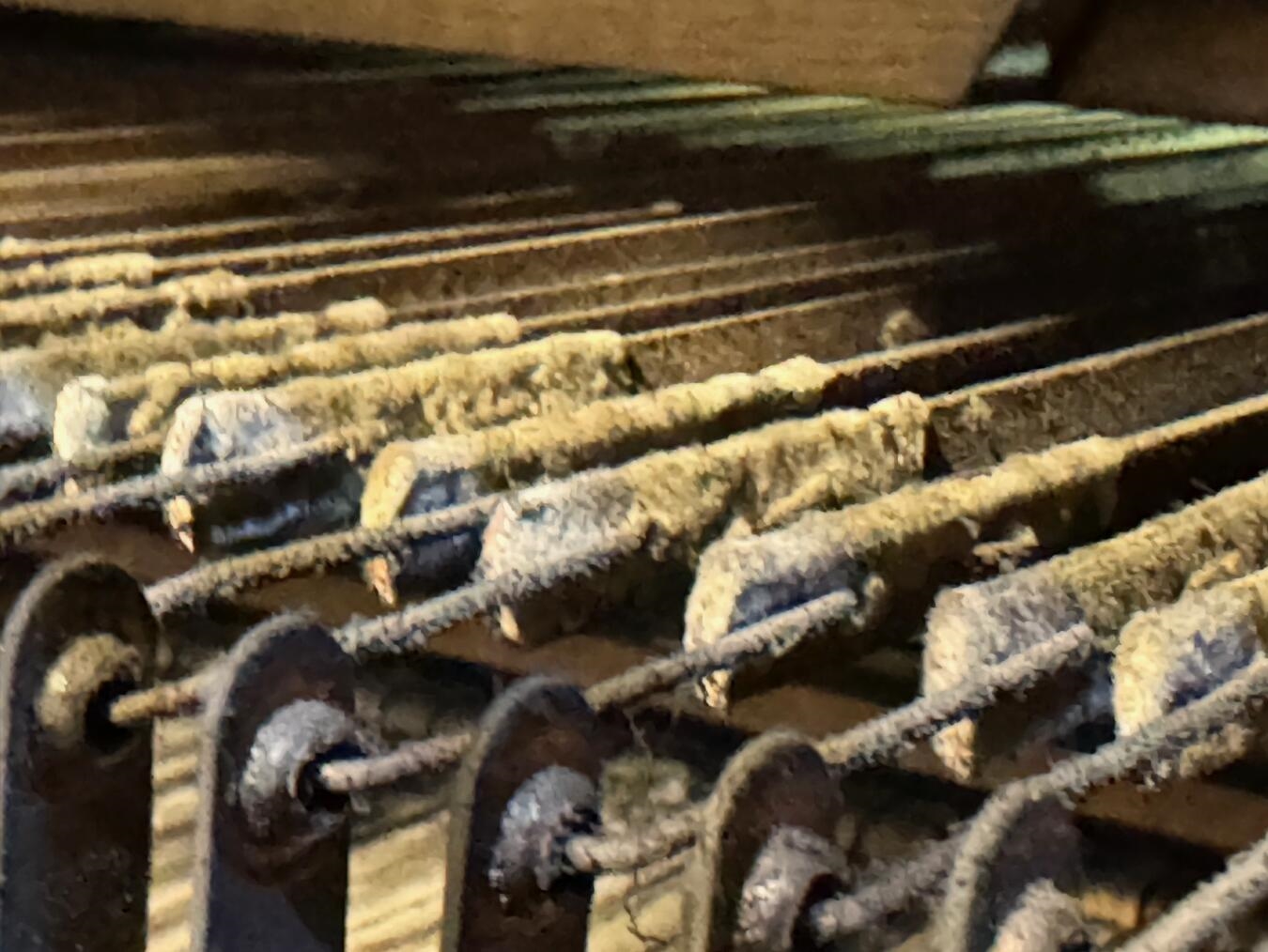 "Beschädigte und verschmutzte Orgel, Nahaufnahme, Restaurierung erforderlich"