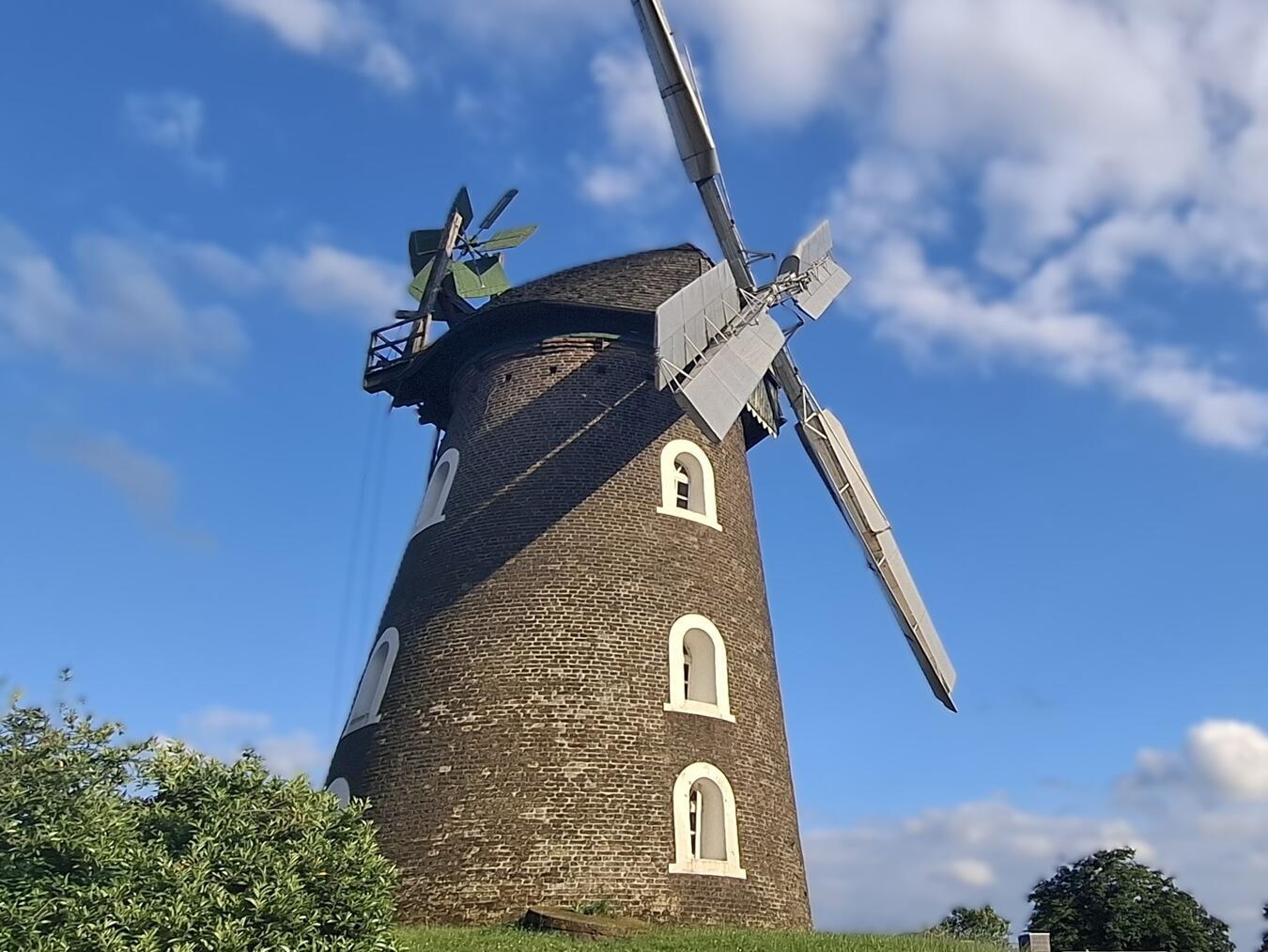 Die Scholten-Mühle in Rees. Foto: privat