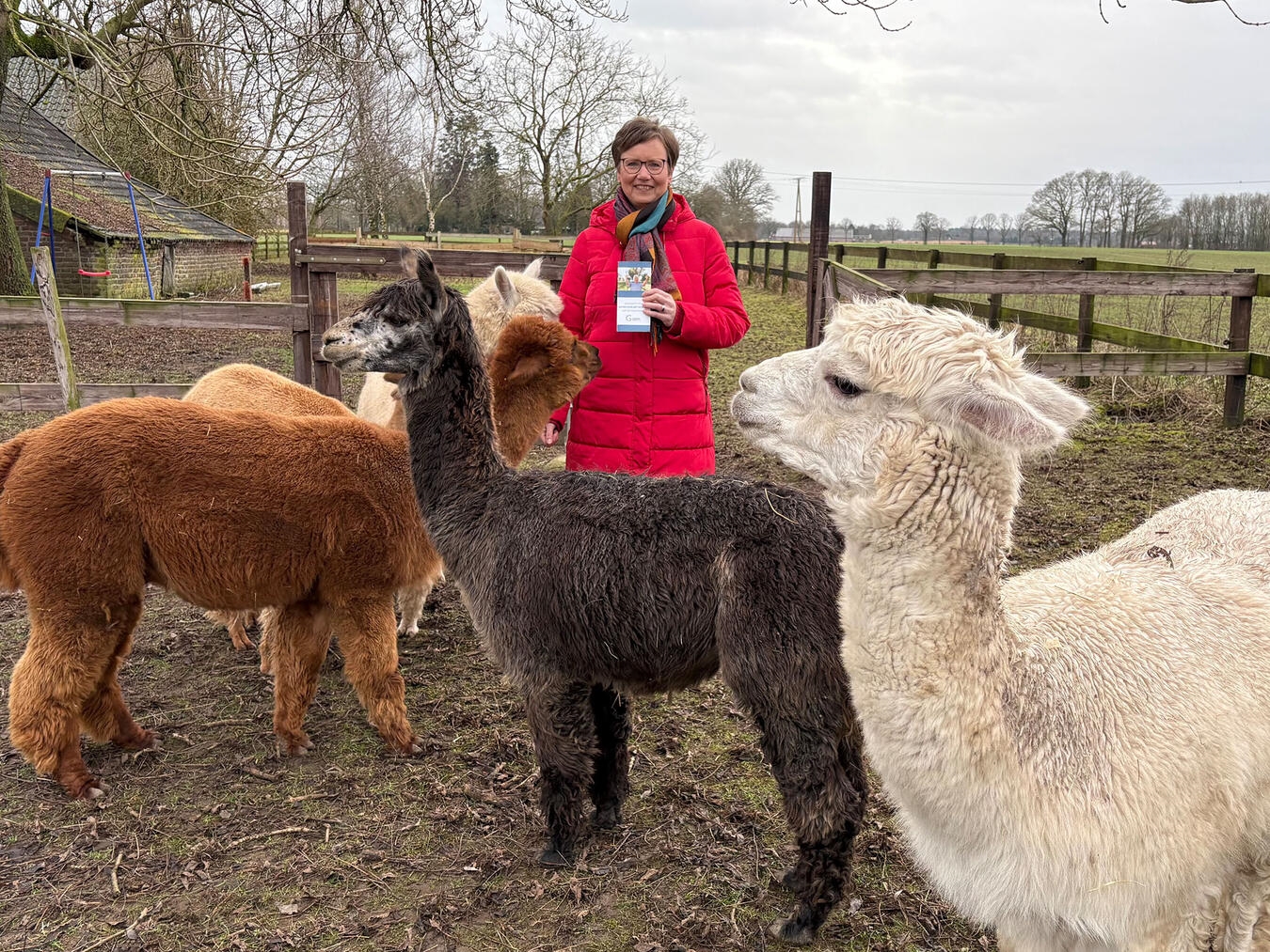 "Seniorenbeauftragte Alexandra Maywald mit Alpakas auf Wiese, Foto von Katrin Düngel"