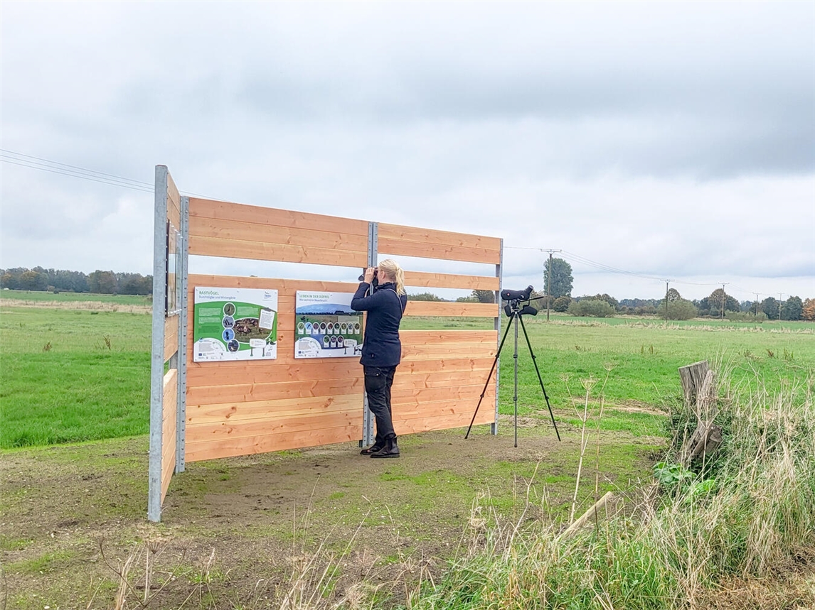 Die Sichtschutzwand mit Infotafeln an der Straße Alde Börg. Foto: Nabu-Naturschutzstation Niederrhein