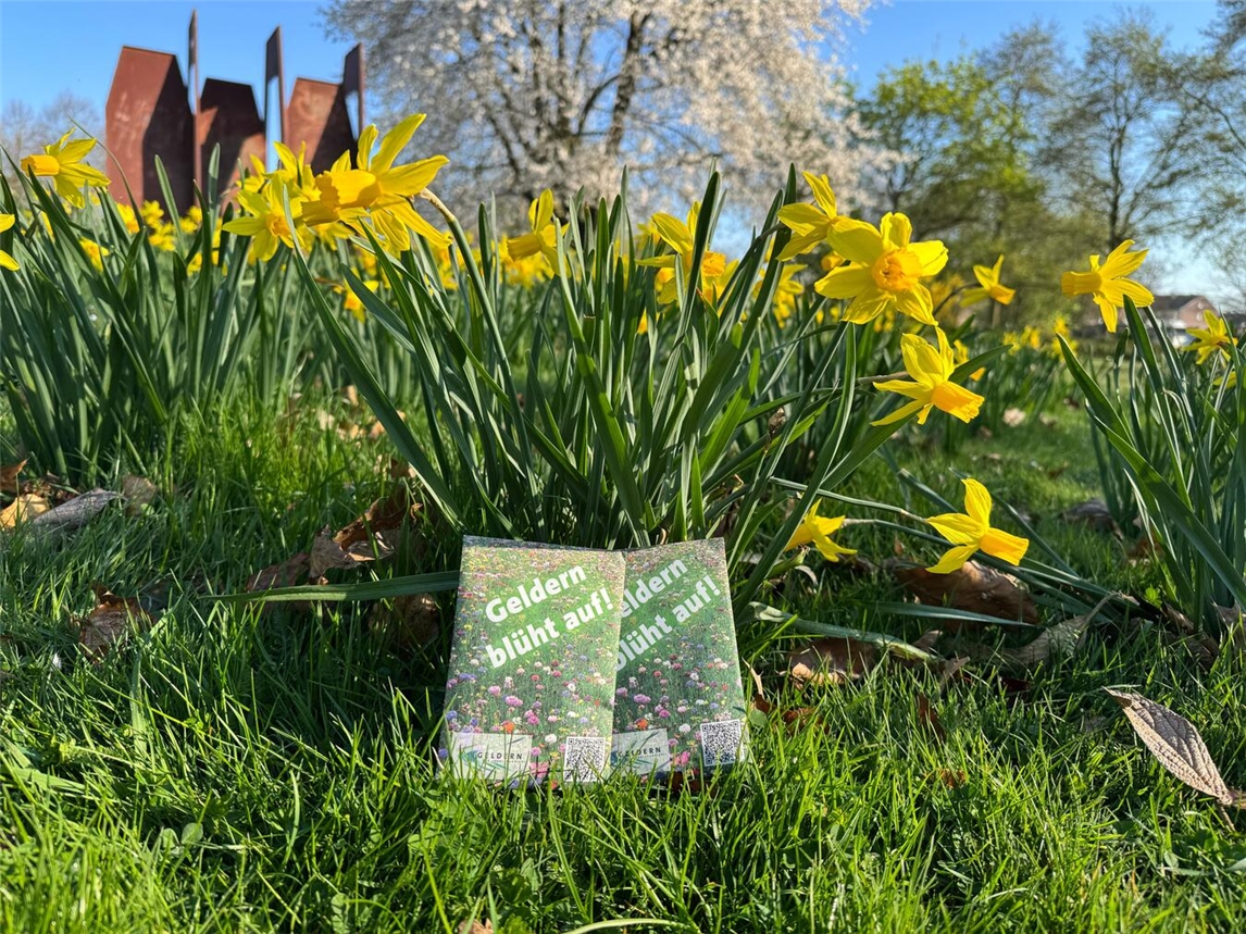 Die Stadt Geldern verteilt wieder kostenlos die Samentüten mit den Blumensamen.Foto: Stadt Geldern