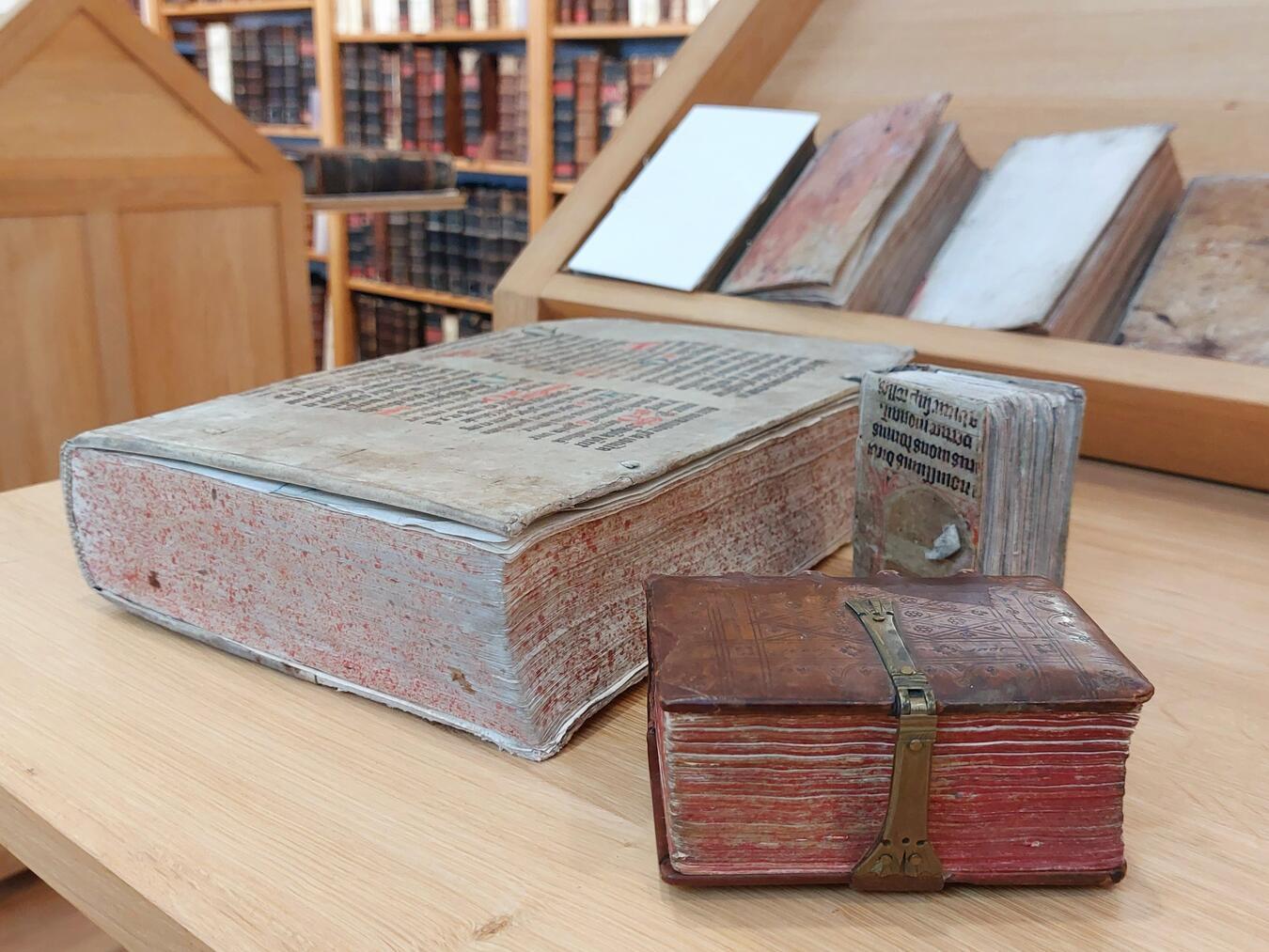 Die StiftsBibliothek enthält einige historische Bücher. Foto: StiftsMuseum