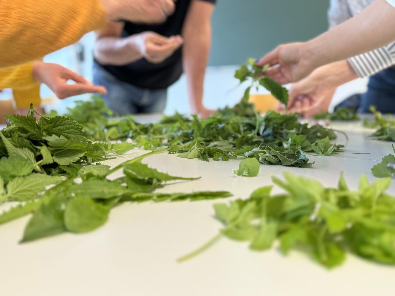 Die Teilnehmer können ausprobieren, wie die Wildkräuter in den Gerichten schmecken. Foto: privat