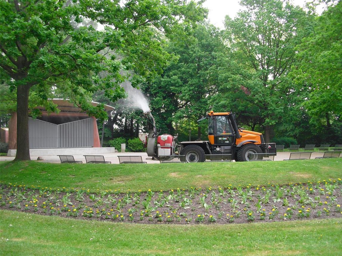 •Die USK bekämpfen wieder die Eichenprozessionsspinner. Foto (Archiv): Stadt Kleve