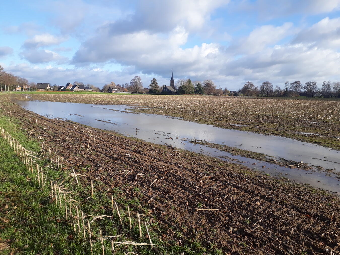 "Stauwasser-Versickerung auf Äckern durch Heckenwurzeln gefördert, nachhaltige Landwirtschaft, Foto: NZ Kleve"