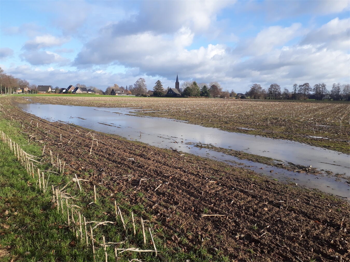 "Stauwasser-Versickerung auf Äckern durch Heckenwurzeln gefördert, nachhaltige Landwirtschaft, Foto: NZ Kleve"