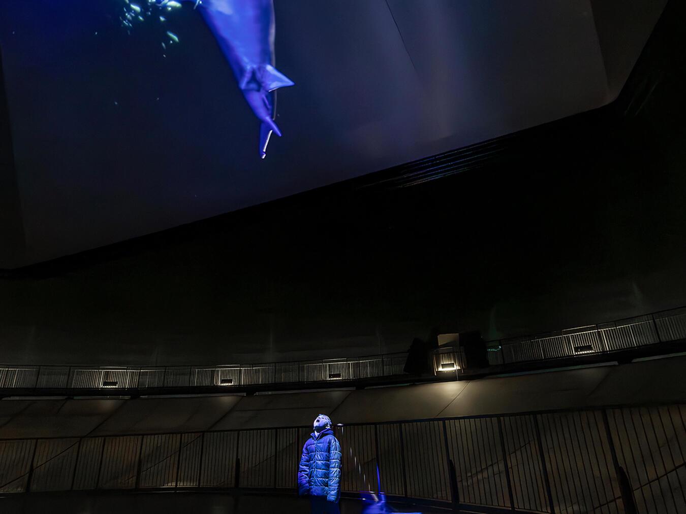 „Die Welle“ auf der höchsten Leinwand der Welt.Foto: Dirk Böttger