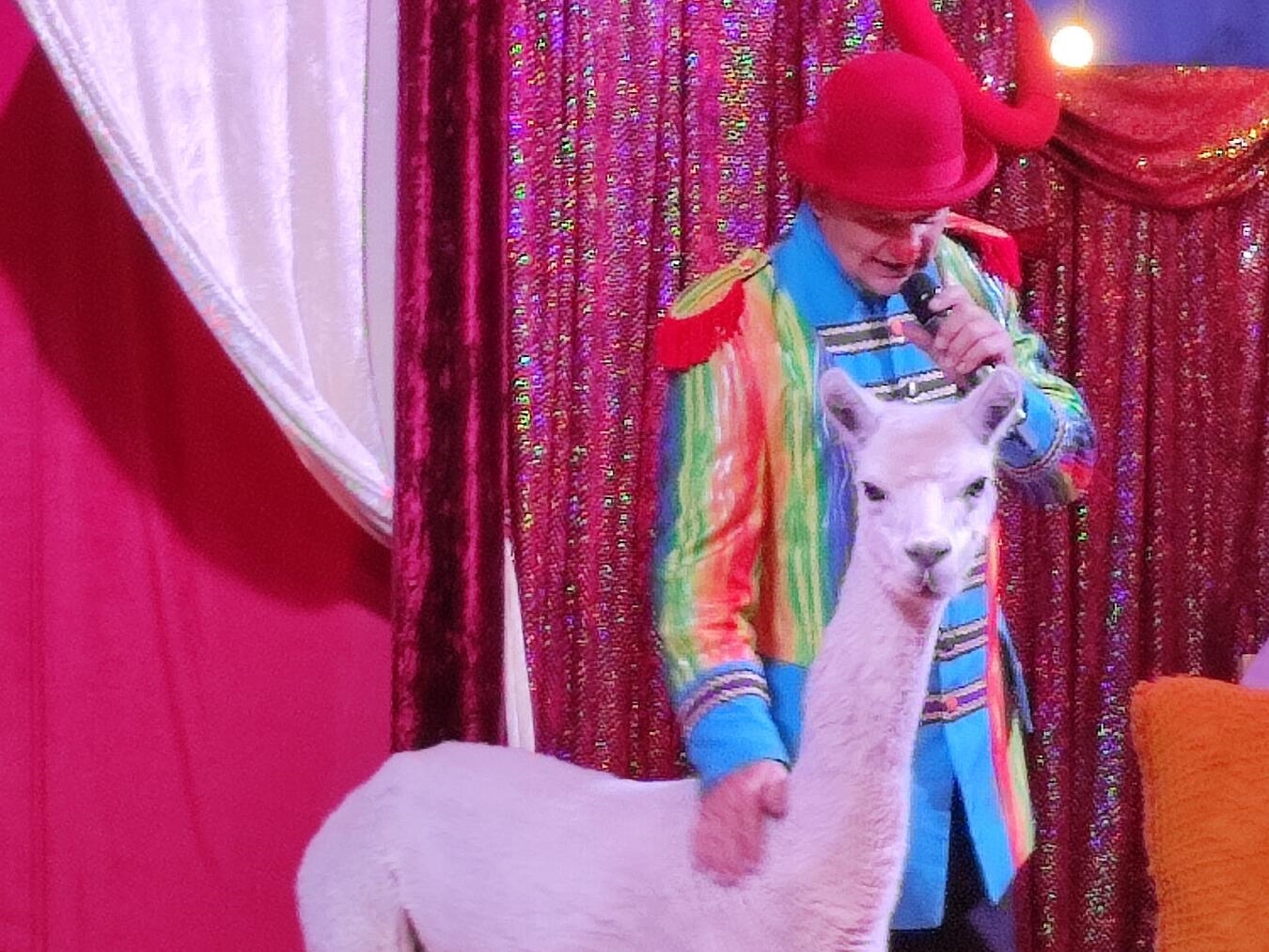Zirkusnachmittag mit
viel Musik und guter Laune Die Zirkusvorführung war tierisch gut. Foto: privat