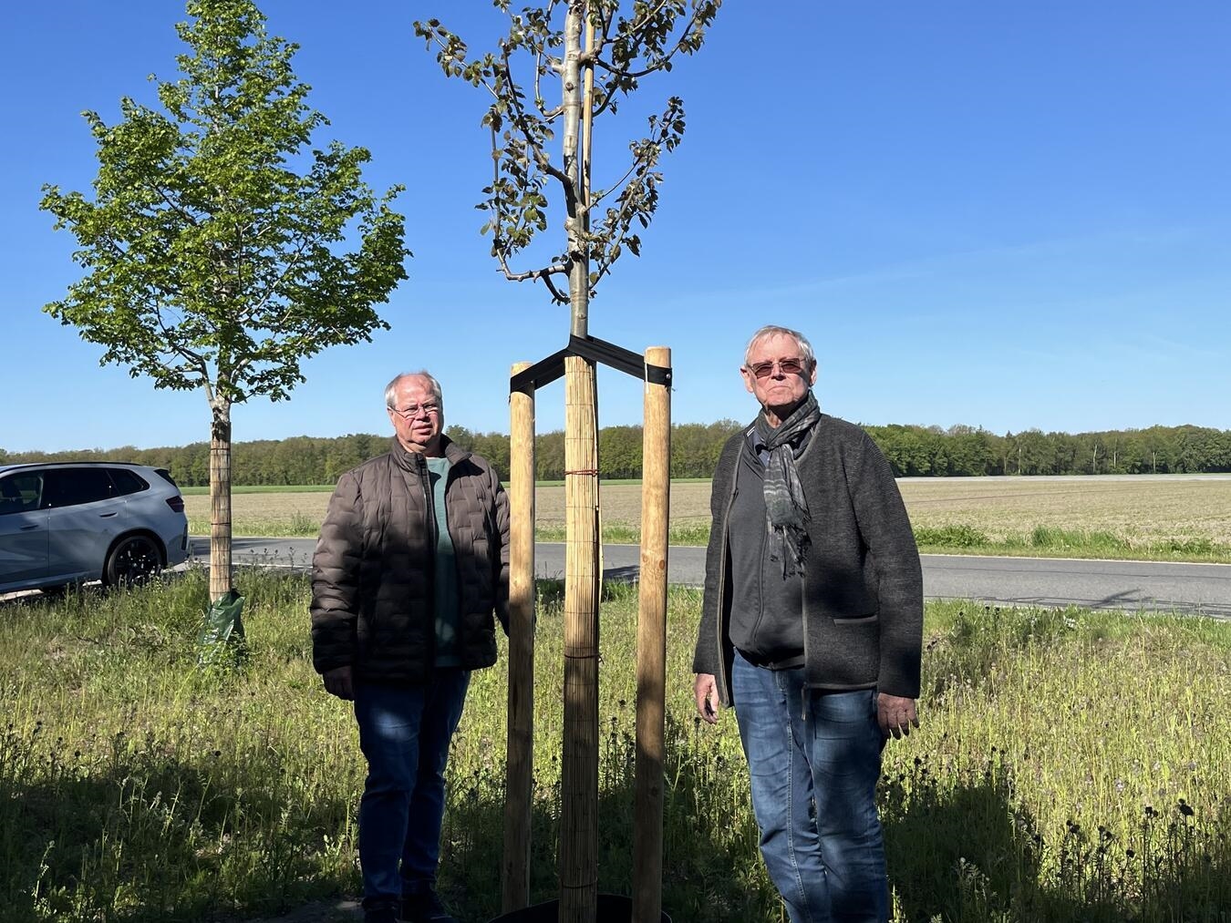 Die Zitterpappel (auch Espe genannt), ist eine Spende eines Naturfreundes. Foto: privat 