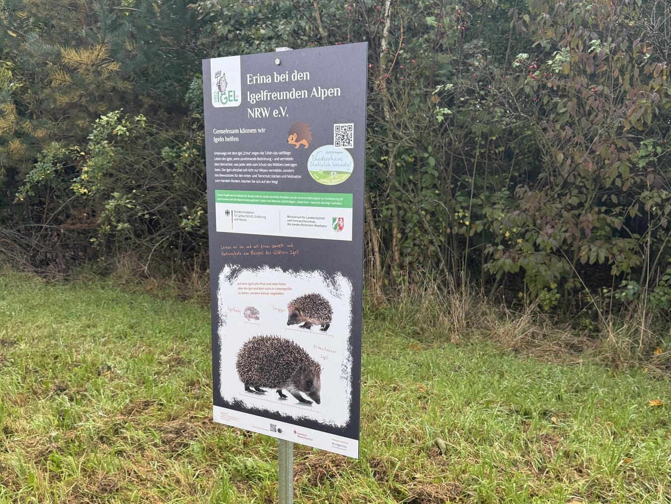 Neue Igellehr- und Lernpfade in Alpen Die zwei neu gestalteten Igellehr- und Lernpfade laden Groß und Klein zu einer spannenden Entdeckungsreise rund um den stacheligen Gartenbewohner ein. Foto: Igelfreunde Alpen NRW e.V.