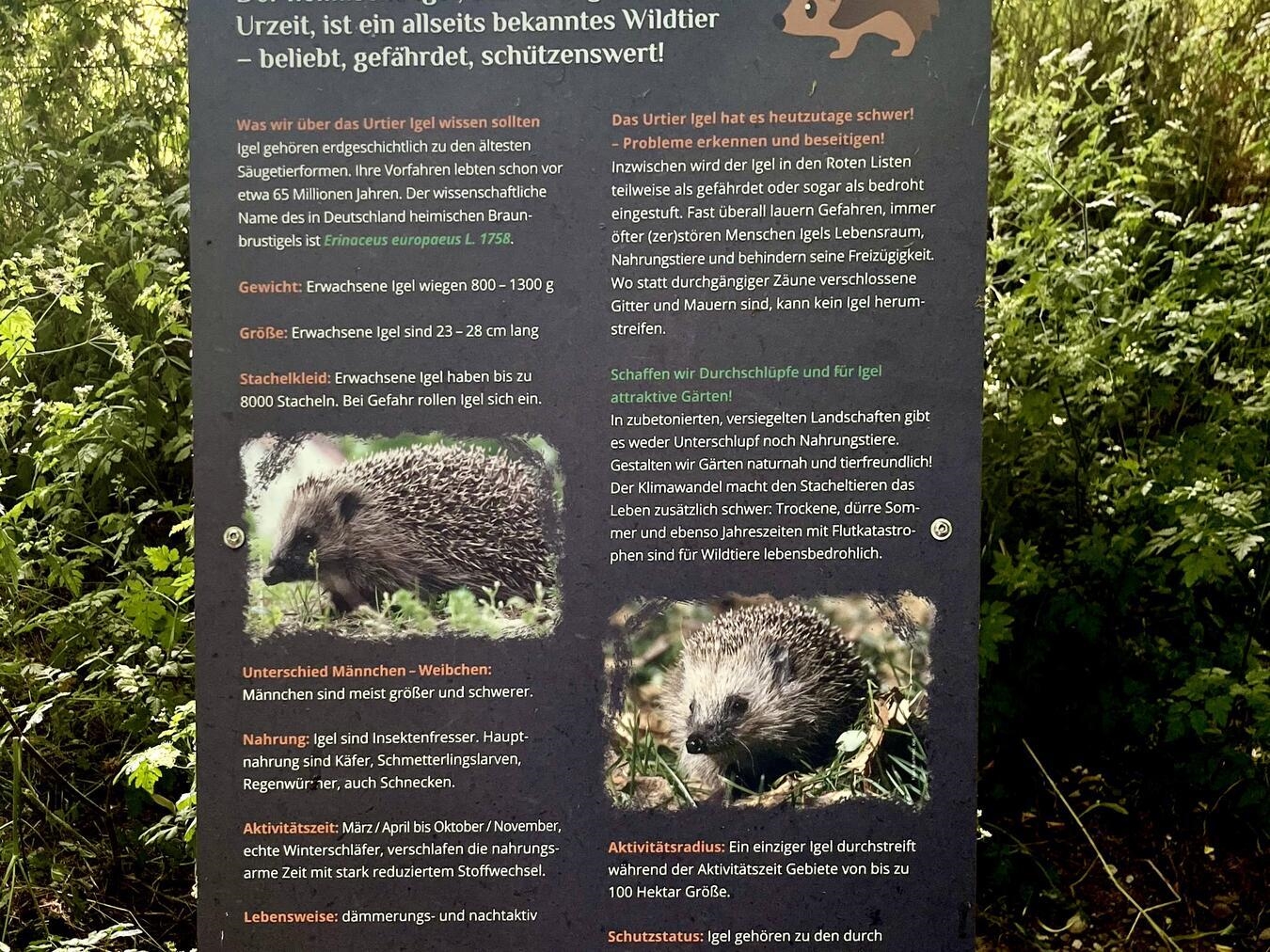 Diese Info-Tafeln beinhalten viel Wissenswertes über Igel. Foto: Christiane Sasse