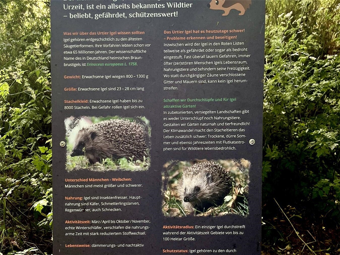 Diese Info-Tafeln beinhalten viel Wissenswertes über Igel. Foto: Christiane Sasse