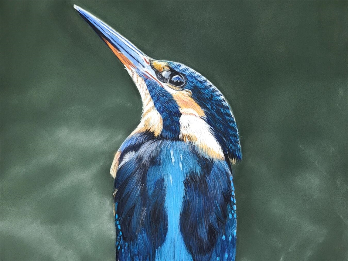 Diese Pastellzeichnung eines Eisvogels stellt Elke Haefs aus. Foto: Elke Haefs