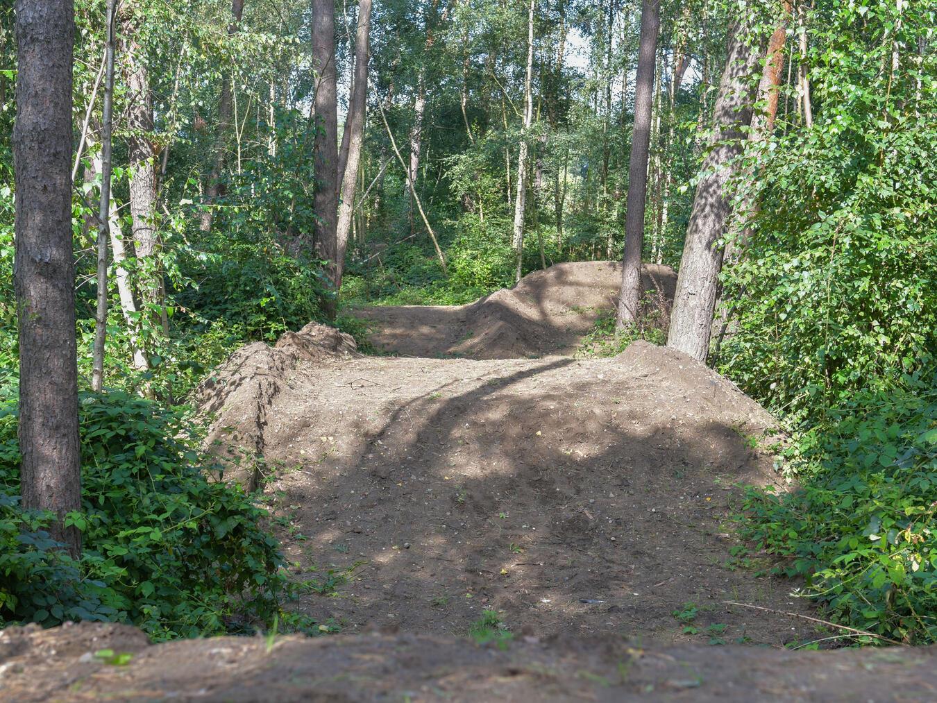 Diese Piste lässt Mountainbiker-Herzen bald höher schlagen. NN-Foto: Gerhard Seybert
