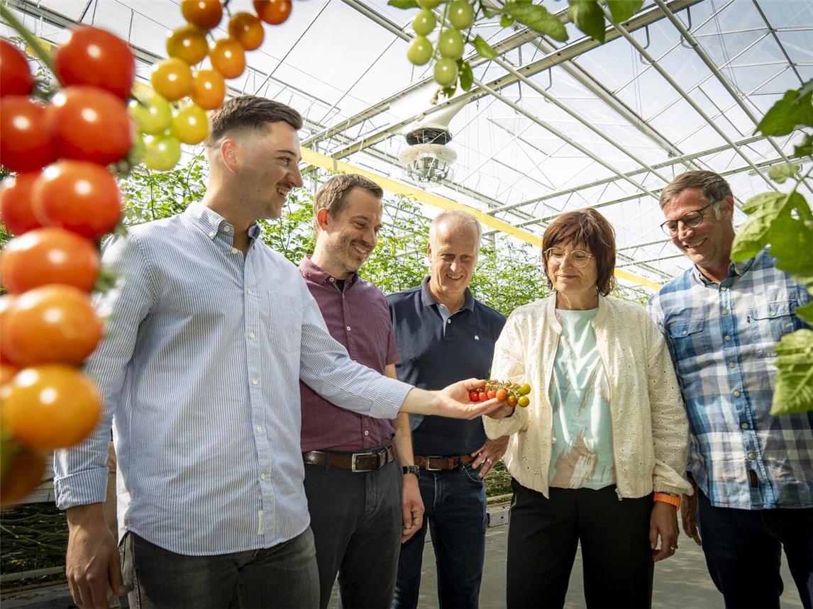 Dominik Baum (Geschäftsführer Vitarom Straelen Bio), Bernd Kuse (Bürgermeister Straelen), Uwe Bons (Wirtschaftsförderer Straelen), Brigitte Jansen (Wirtschaftsförderin Kreis Kleve) und Matthias Draek (Geschäftsführer Vitaland, v.l.) im Gewächshaus der Vitaland. Gleich nebenan entsteht eine innovatives Bio-Gewächshaus. Foto: Gerhard Seybert