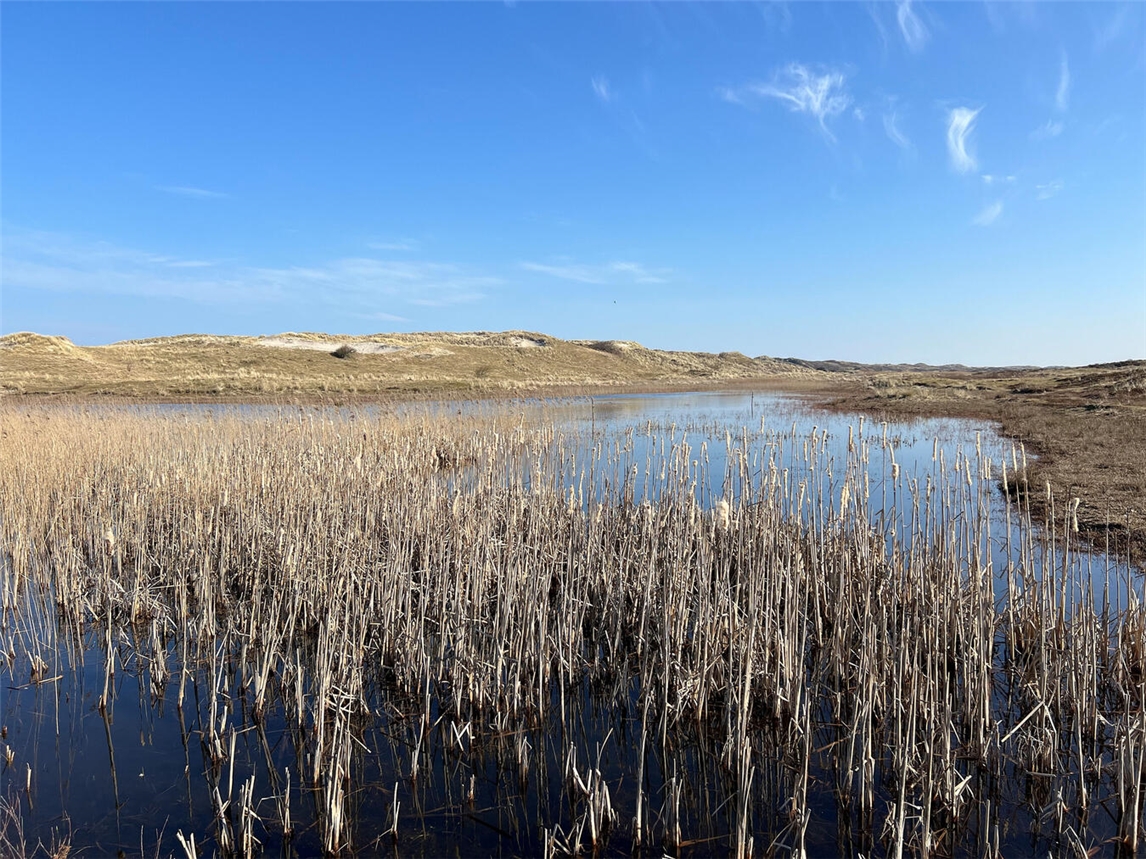 Dünen, Strand und Wälder: Die Natur auf Terschelling ist vielfältig und lässt sich dank eines gut ausgebauten Radwegenetzes wunderbar mit dem Fahrrad erkunden.NN-Fotos: Andrea Kempkens