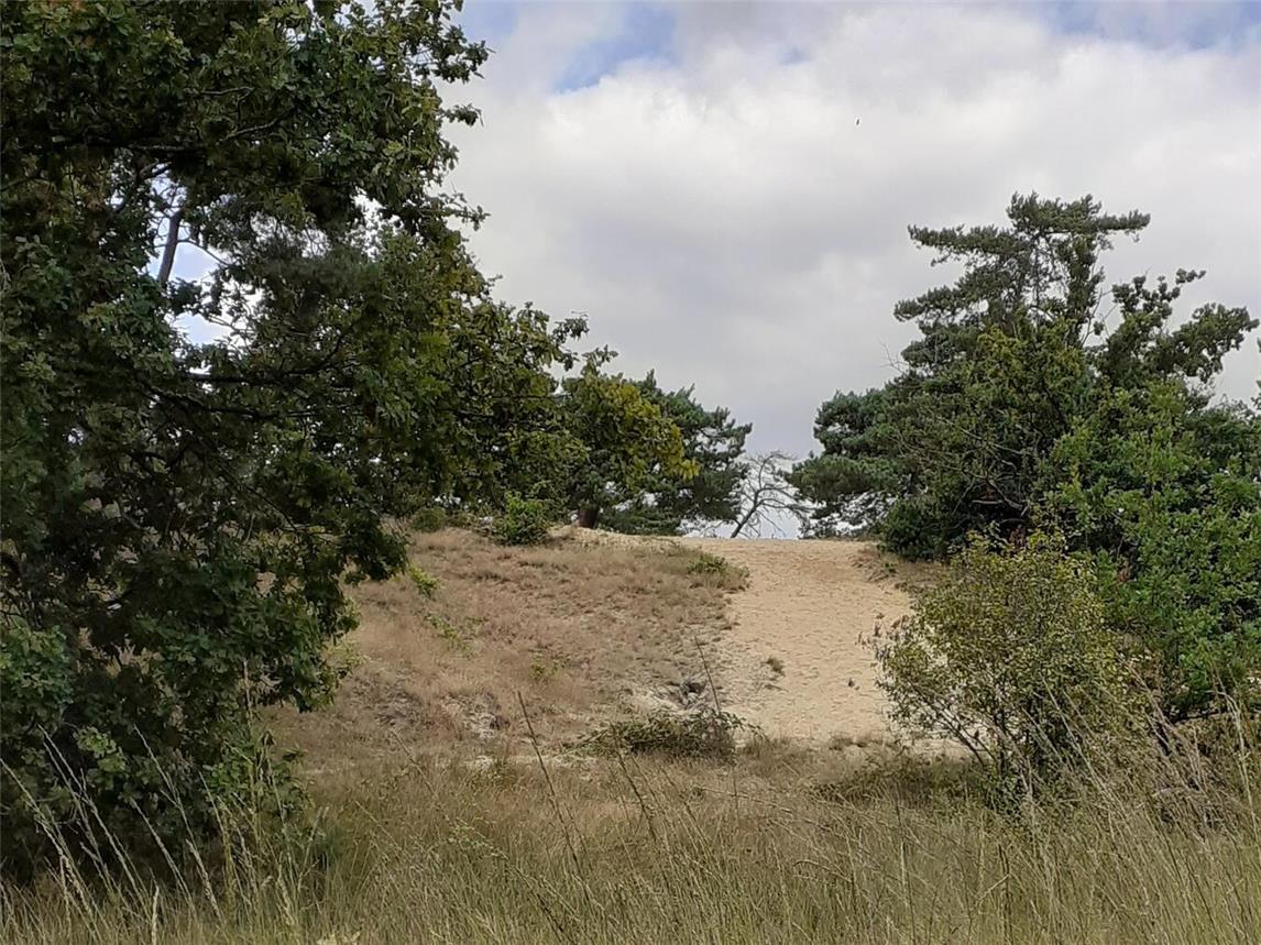 Durch das Gebiet Ravenvennen führt die Wanderung mit dem Kneipp-Verein.Foto: privat
