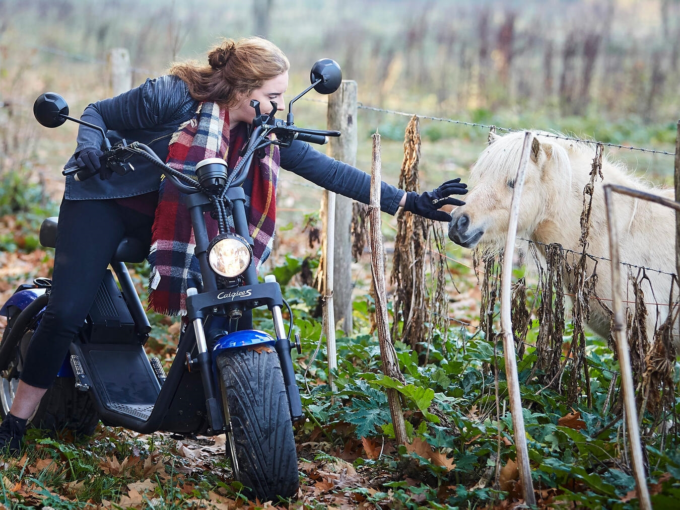 Brabant: überraschend nah, beeindruckend vielseitig "E-Chopper-Tour durch die Strabrechtse Heide, grüne Landschaft und blauer Himmel, nachhaltiger Tourismus, Naturerlebnis"