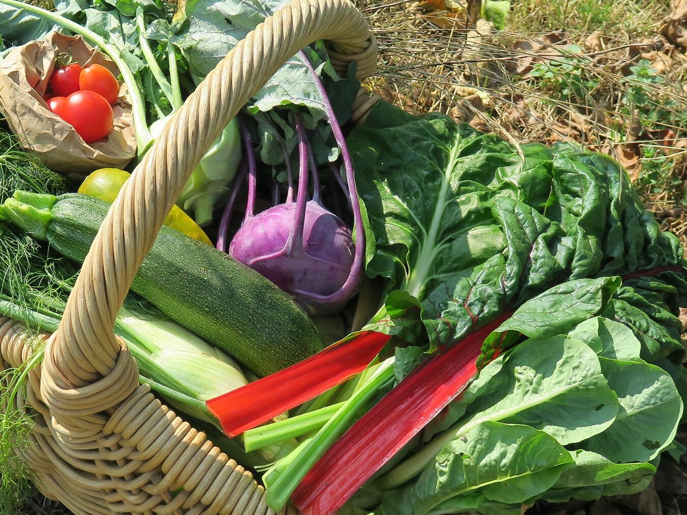 Egal ob vegan, neugierig oder einfach hungrig: Alle sind willkommen. Foto: privat