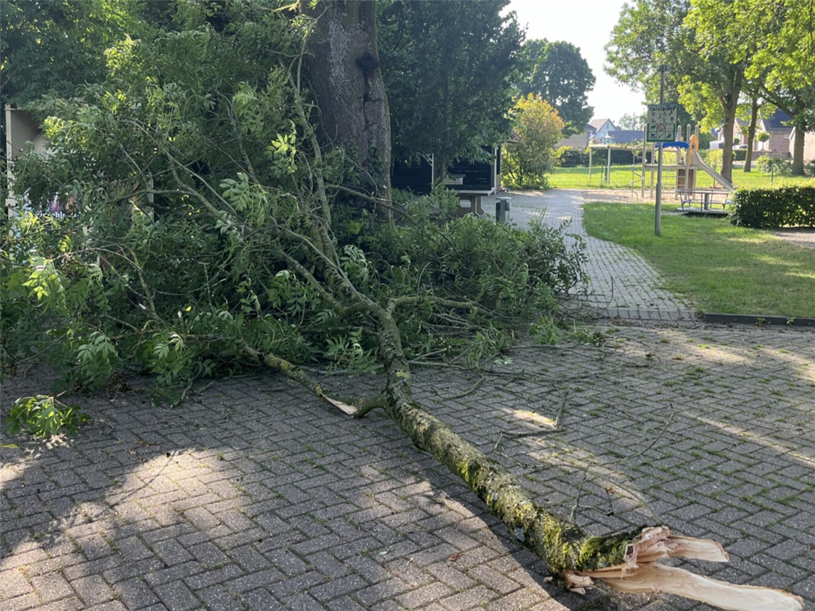 "Abgebrochener Ast auf Spielplatz in Dornick, Emmerich - Sicherheitsgefahr."