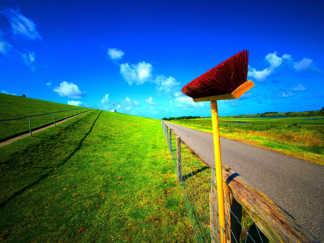 Ein Besenstil direkt am Deich auf Pellworm. Fotos (2): Armin Fischer