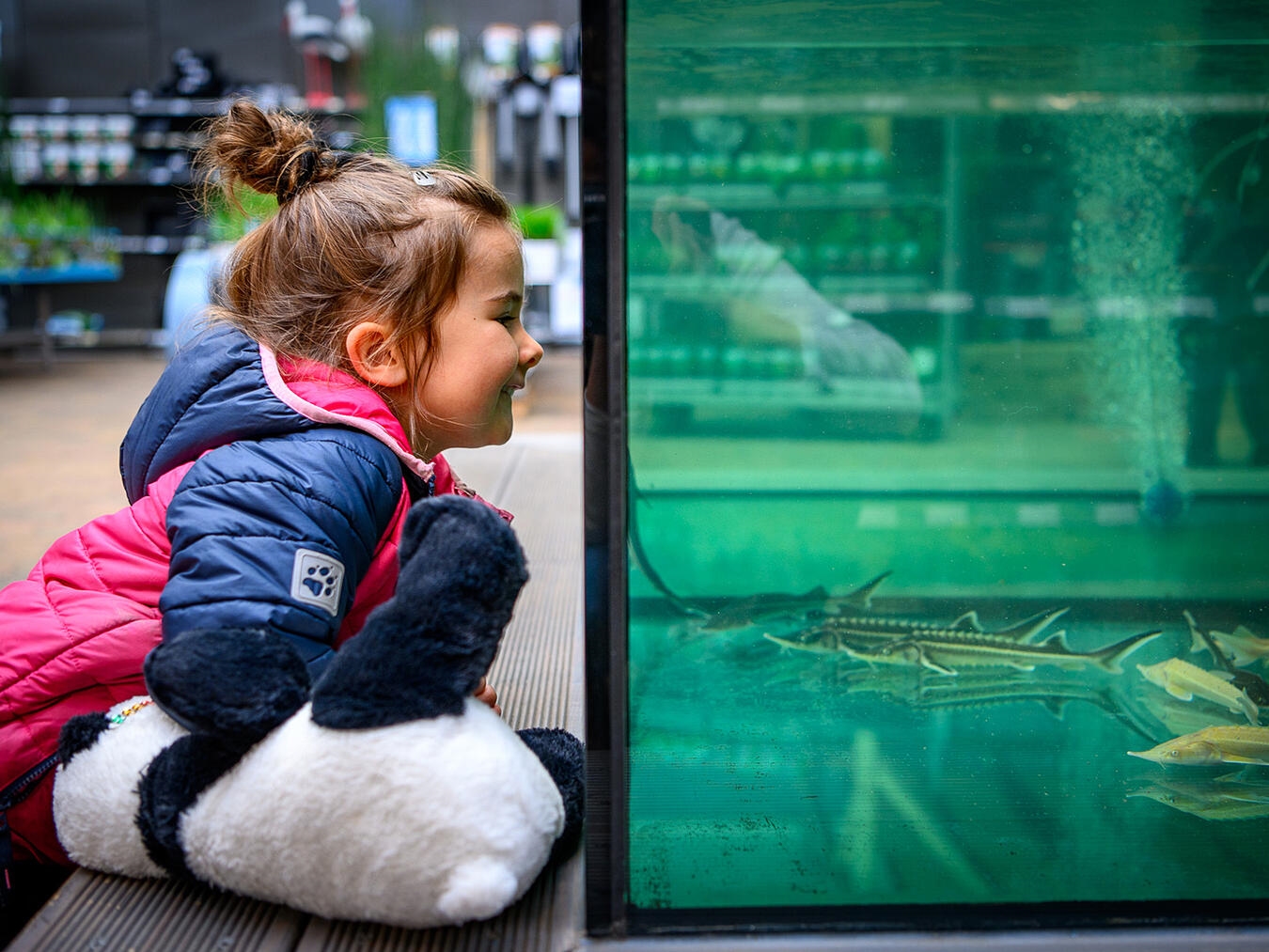 "Besuch im festlich dekorierten Gartencenter, ideales Ausflugsziel für Feiertage, mit Pflanzen und Dekor für Jung und Alt."