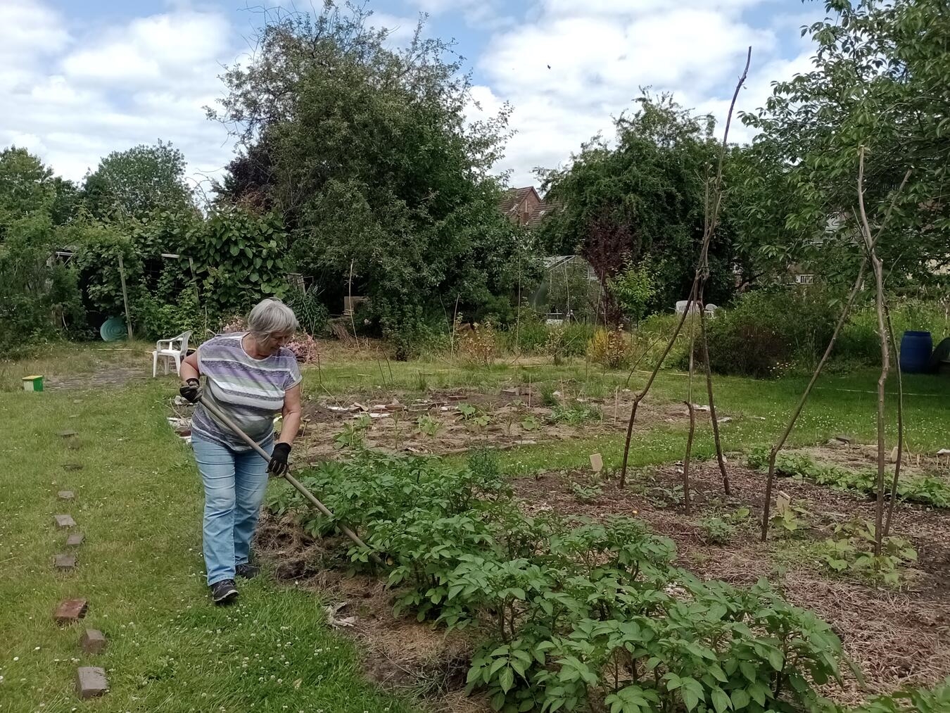 "Grüner Waldgarten des Vereins Emmergrün in Emmerich, essbares Paradies, nachhaltige Landwirtschaft."