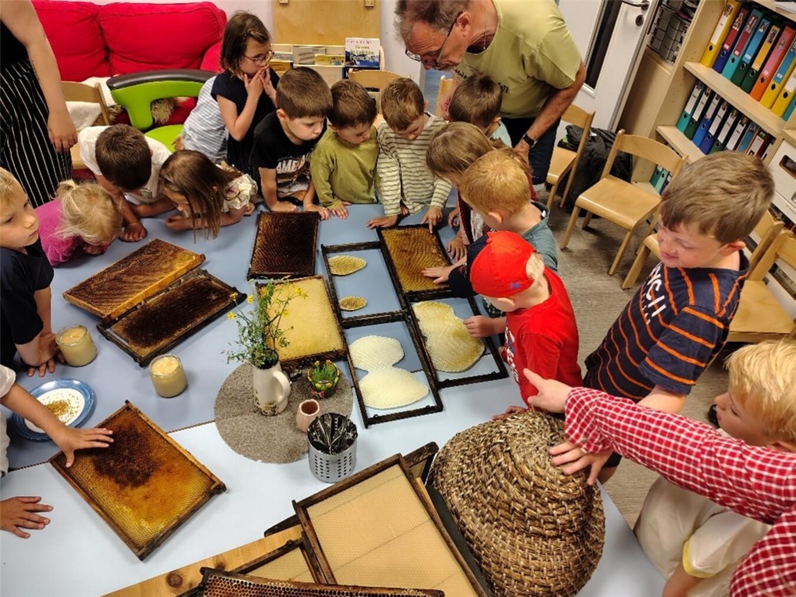 "Kindergartenkinder bei der Honigherstellung, St. Stephanus"