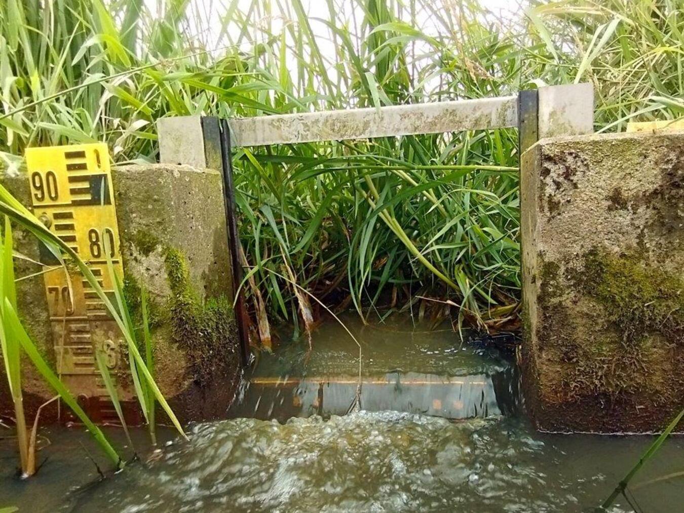 Ein Kippwehr in der Hetter, ähnlich zu dem geplanten Wehr in der Düffel. Foto: Nabu/Rahel van Ophuysen
