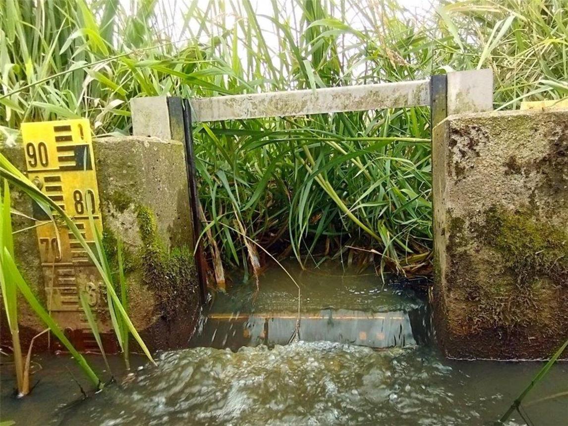 Ein Kippwehr in der Hetter, ähnlich zu dem geplanten Wehr in der Düffel. Foto: Nabu/Rahel van Ophuysen