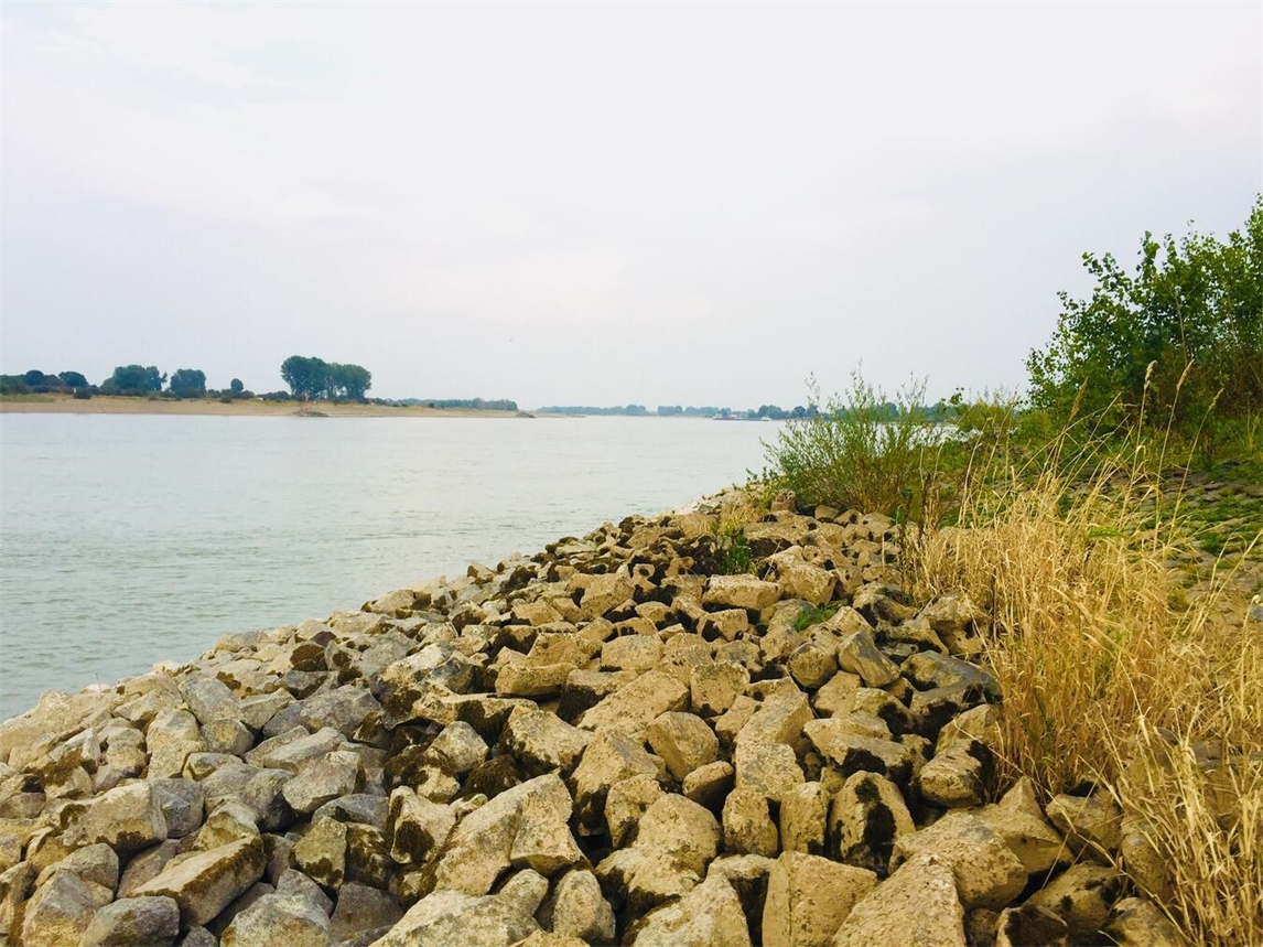 "Sauberes Ufer am Fluss, Naturschutz, NABU"