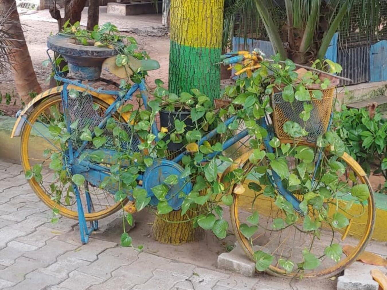 Ein Straelen-Fahrrad auf dem Gelände des Kinderhauses. Foto: privat