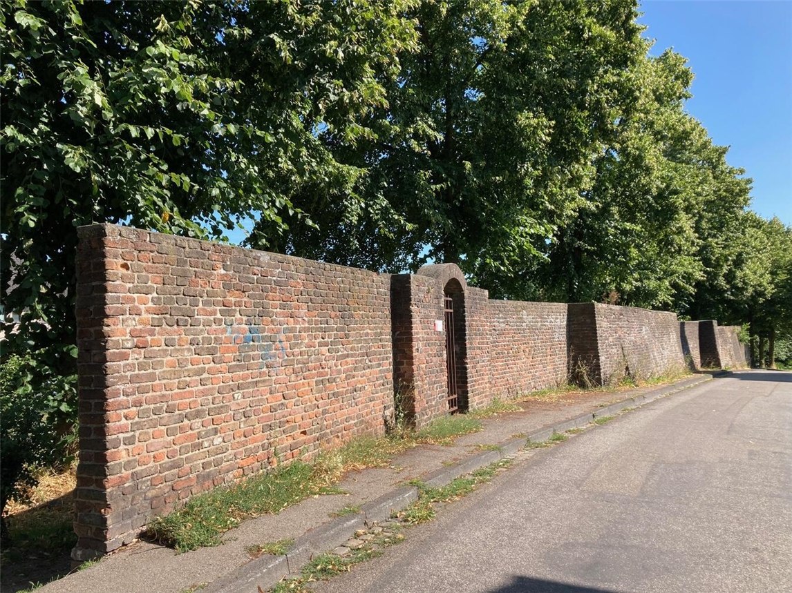 "Historische Stadtmauer Heideberger Mauer, bewachsen mit Efeu, bei Sonnenschein"