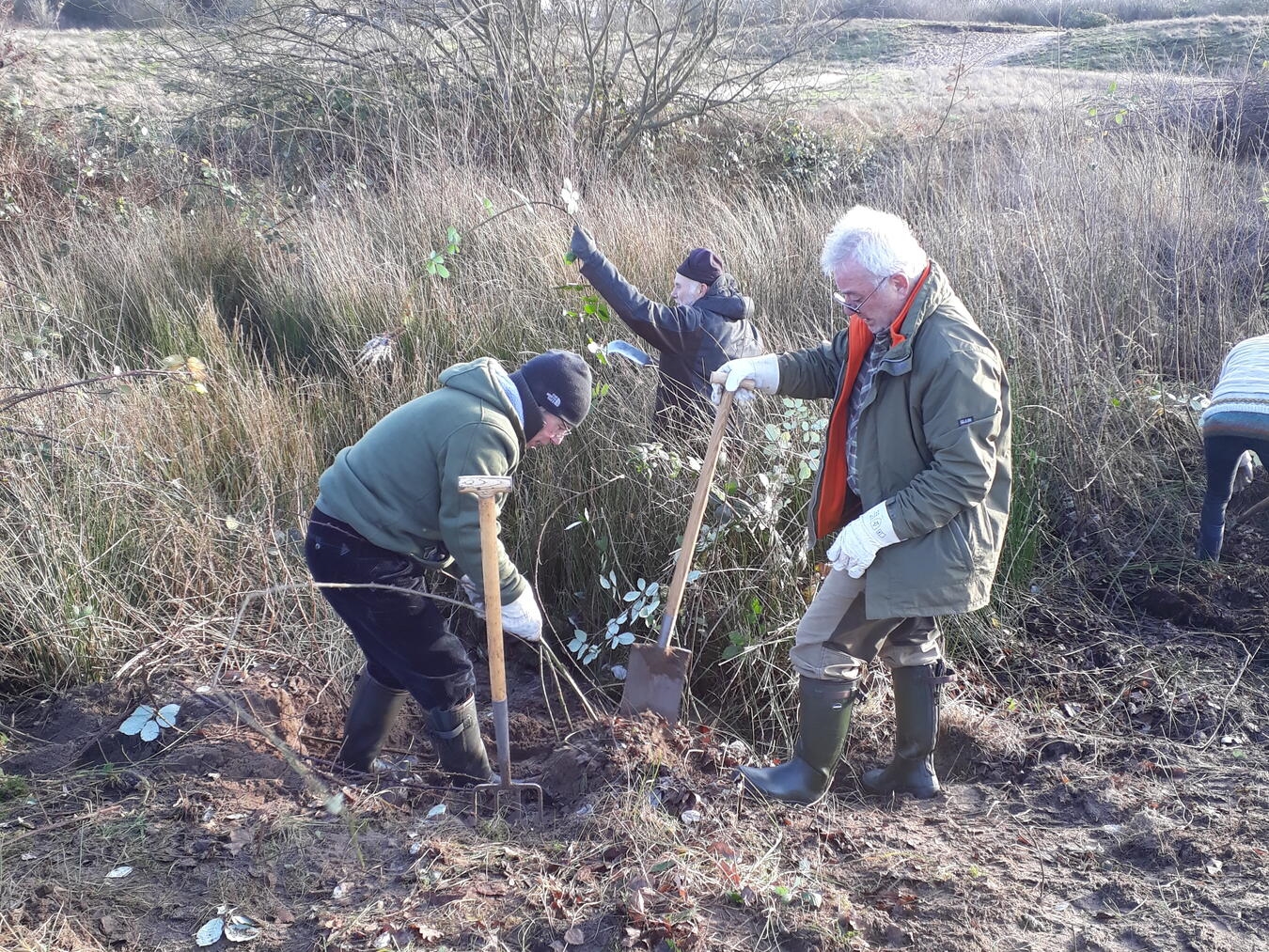 Ein weiterer Pflegeeinsatz findet am Freitag in den Wisseler Dünen statt. Foto: NZ Kleve